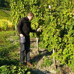 山東向陽(yáng)電子科技有限公司 