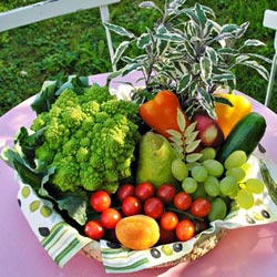 山東向陽(yáng)電子科技有限公司 